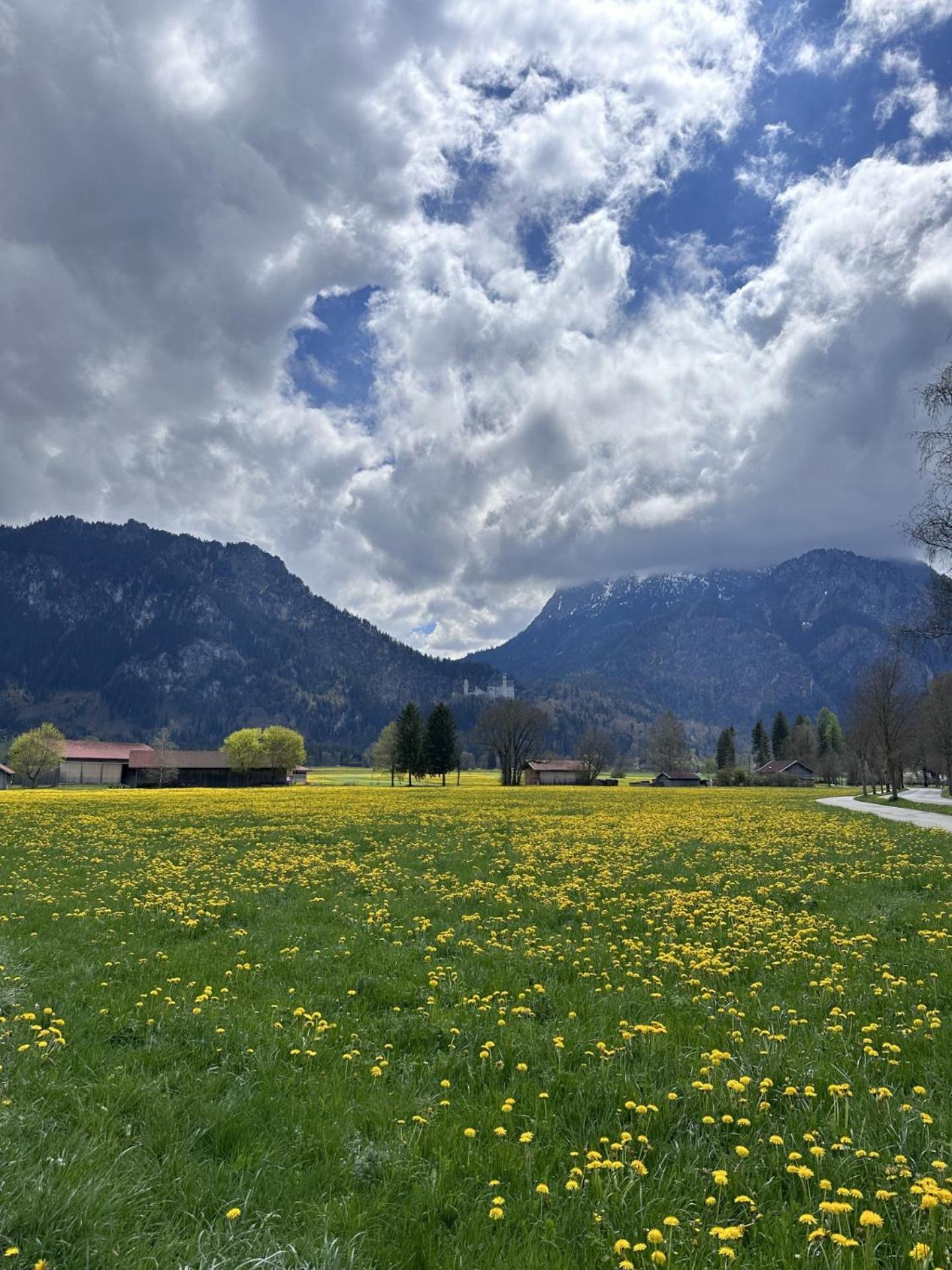 Gaestehaus Apollo Apartment Schwangau Bagian luar foto
